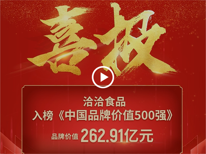 彩名堂500强